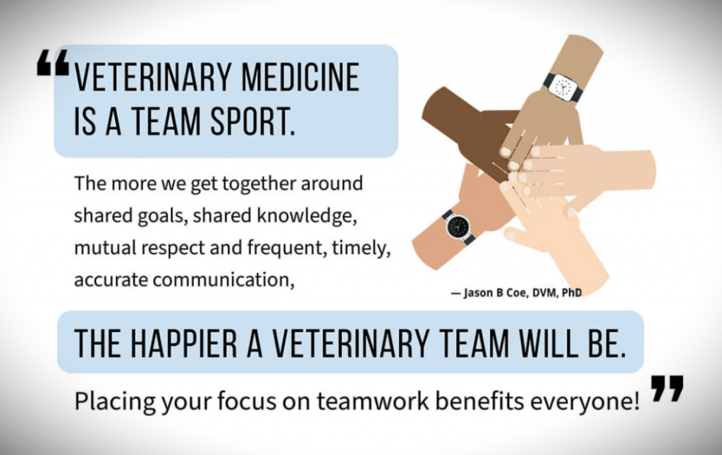 A page from PetVet Magazine, showing five hands touching in a circle, and a quote from Dr. Jason Coe that says, "Veterinary medicine is a team sport.  The more we get together around shared goals, shared knowledge, mutual respect and frequent, timely, accurate communication, the happier the veterinary team will. be.  Placing your focus on teamwork benefits everyone!"