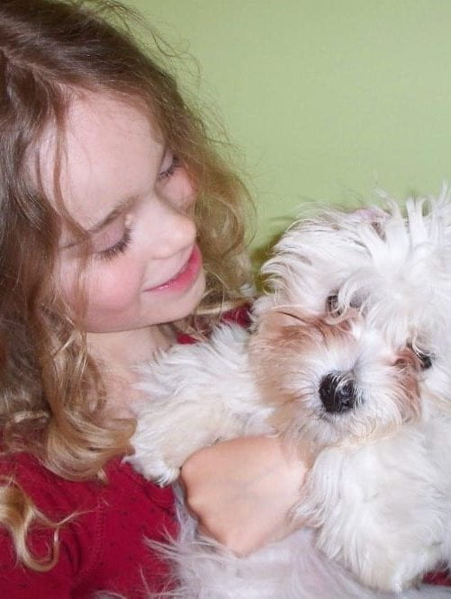 Child and white puppy cuddling. Child is smiling at her puppy.