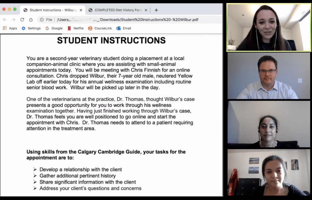 A screenshot from a computer.  The screenshot depicts a virtual communication practice session that was part of the Art of Veterinary Medicine 2 curriculum at OVC, facilitated by communications coach Dr. Jason Coe (second frame). At this point in the session, a student veterinarian (upper frame) was reviewing the on-screen student instructions prior to the meeting with the simulated client. An OVC graduate and veterinarian (third frame) was shadowing the training session in preparation for taking on the role of coach, and a second student veterinarian (bottom frame) was acting as peer-student coach.