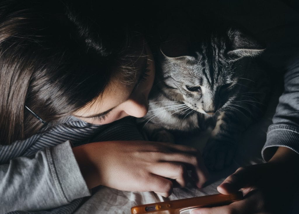 Person cuddling a cat at home, and reading something on her smart phone. 