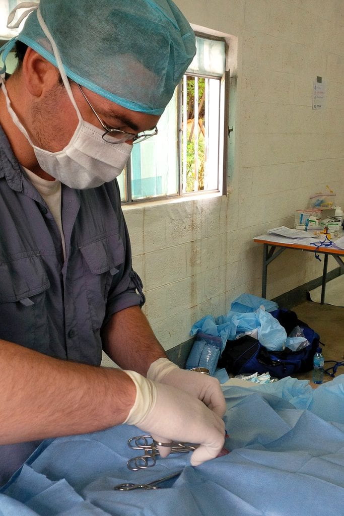 Veterinarian doing surgery on an animal (we don't know what kind of animal, because in the image the animal is draped by surgical covers). 