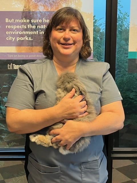 RCVM@OVC alumna and veterinarian, Judy, cuddling a rabbit at the Toronto Humane Society