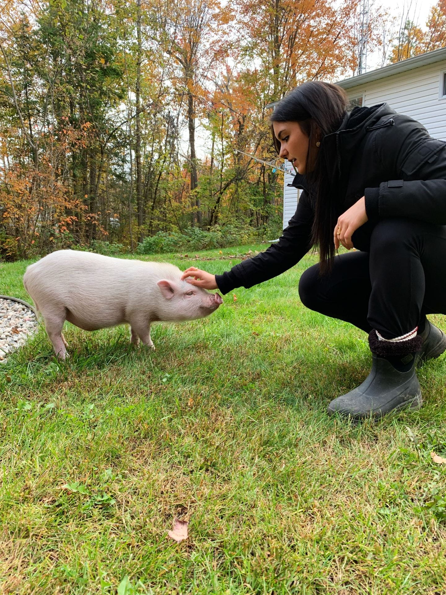 Abby pats her pet pig, Wilson, on the grass during an autumn day.
