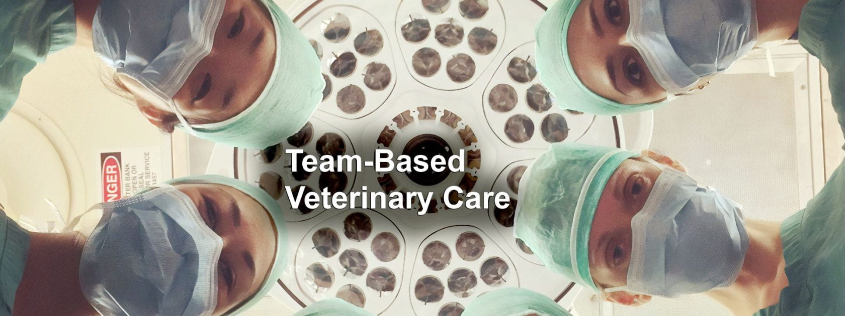 Veterinary team in a circle, wearing surgical scrubs and masks, looking down at the patient, from the point of view of the patient.