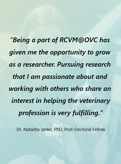 Quote by Dr. Natasha Janke that says, “Being a part of RCVM@OVC has given me the opportunity to grow as a researcher. Pursuing research that I am passionate about and working with others who share an interest in helping the veterinary profession is very fulfilling.”