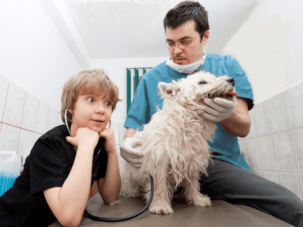 Veterinarian and kid checking dog's heartbeat