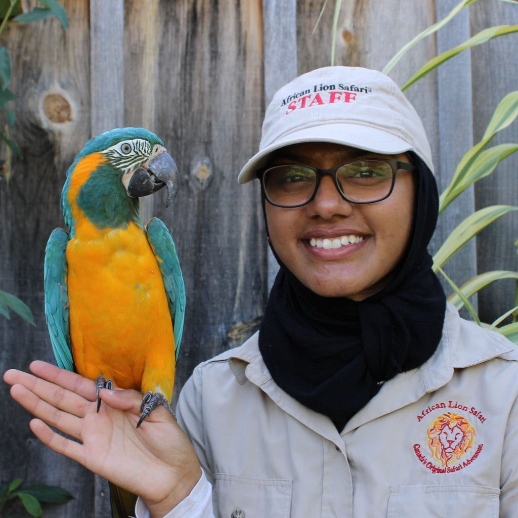 Basima Rashid holding an exotic bird. 