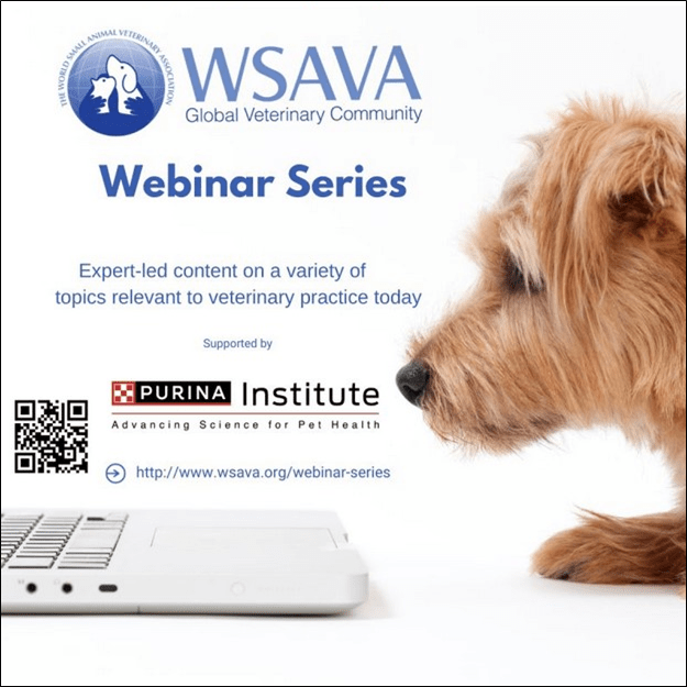 Poster for WSAVA Webinar Series, showing a dog looking at a laptop computer.